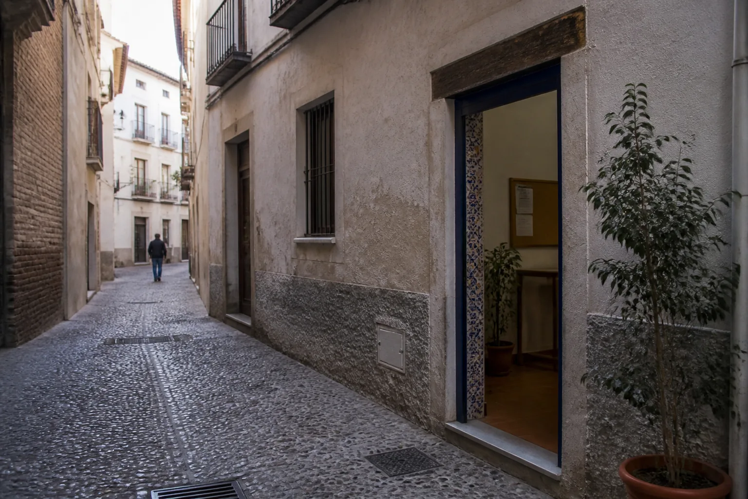 Spanish immersion in Granada
